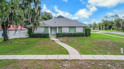 317 Woodland Trl Lady Lake, FL 32159