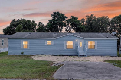 225 Skyline Dr Lady Lake, FL 32159
