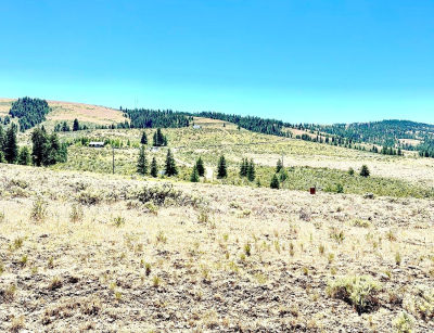 Nka Cowiche Mill Rd Cowiche, WA 98923