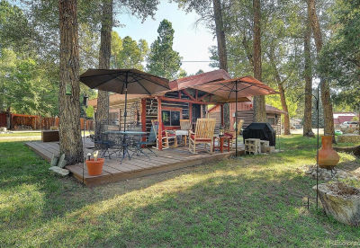 226 S San Juan Ave APT 6 Buena Vista, CO 81211