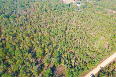 SE Kachina Ave Lee, FL 32059