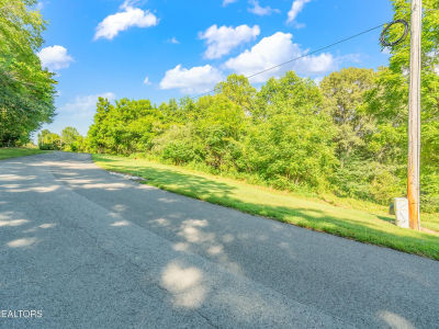 LOT 2 Shanghai Landing Ln La Follette, TN 37766
