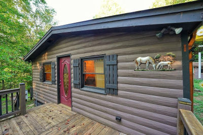 192 Bushy Head Rd Cherry Log, GA 30522