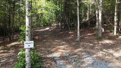 Township Road B E Ellijay, GA 30536