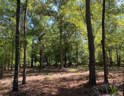 Pin Oak Drive, Huffman, TX, USA