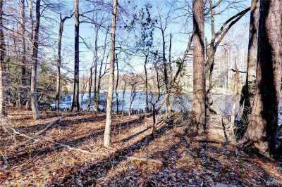 LOT 24 Ennisdale Dr Smithfield, VA 23430