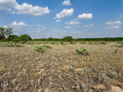 LOT 61 E County Road 1647 Moore, TX 78057