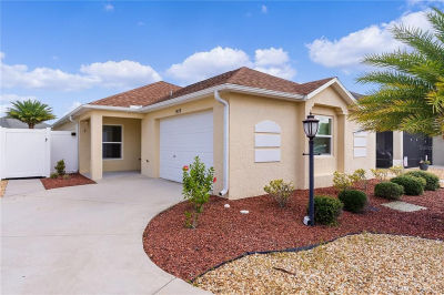 9179 SE 167th Ford St The Villages, FL 32162