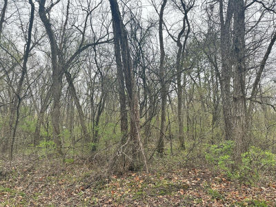 0 Catfish Dr Trempealeau, WI 54661