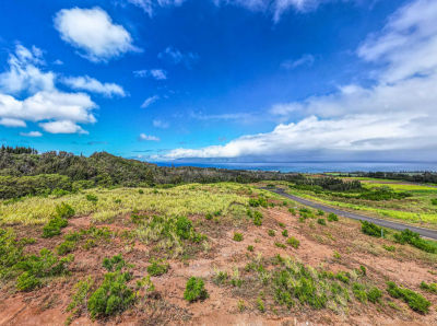 725 laulama Pl, Lahaina, HI 96761