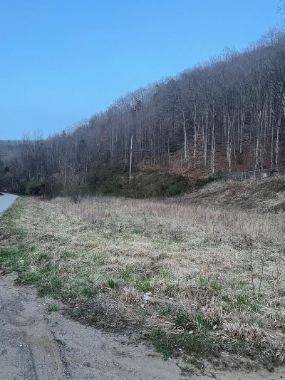 116 Johnson Rd Jenkins, KY 41537