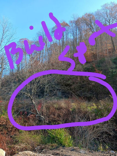 0 Highway 343 Mc Roberts, KY 41835