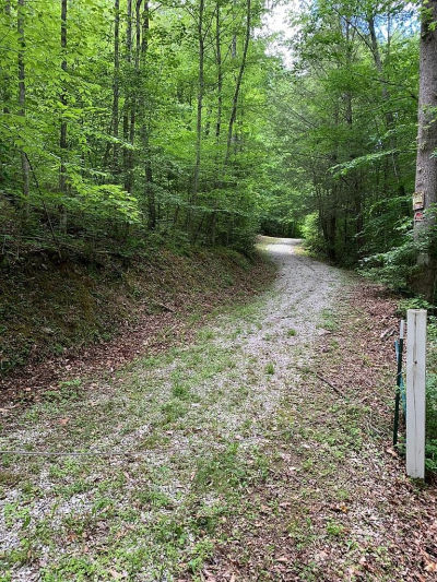 0 Barton Ln #1 Viper, KY 41774