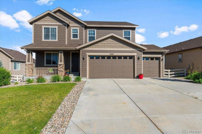 3008 Echo Park Dr Castle Rock, CO 80104