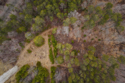 Georges Hill Road Northeast, Georgetown, IN, USA