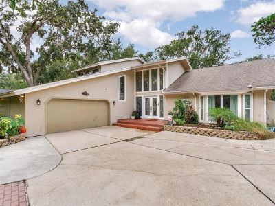 70 Bay Woods Dr Safety Harbor, FL 34695