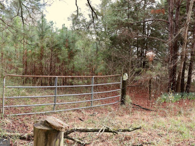 0 Rico Rd Chattahoochee Hills, GA 30268