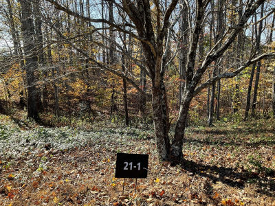 Plumley Summit Road, Landrum, SC, USA