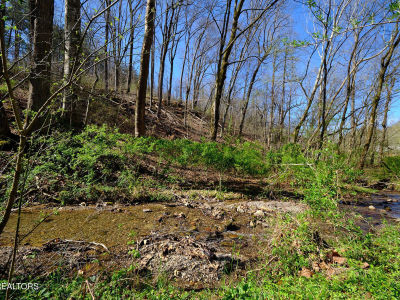 3212 Long Hollow Rd Powell, TN 37849