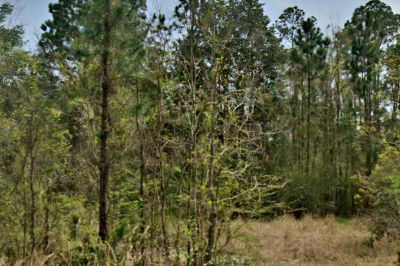 5723 Alkii Way Diamondhead, MS 39525