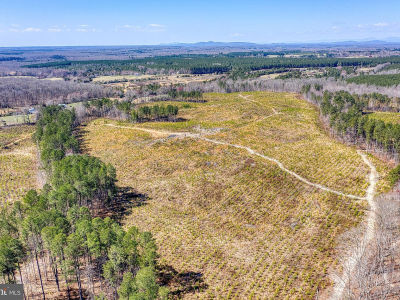 Yellowbottom Rd Lignum, VA 22726