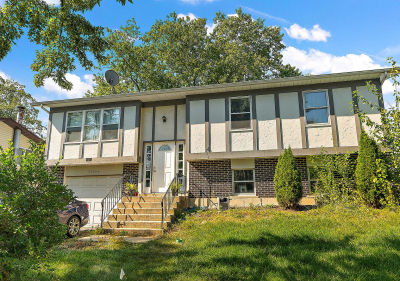 22544 Imperial Dr Richton Park, IL 60471