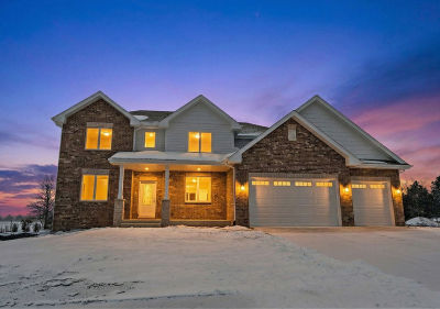 8017 Stanley Trl S Frankfort, IL 60423