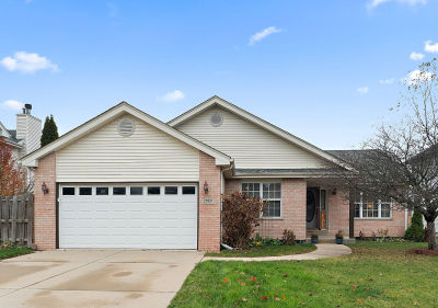 25821 S Sunrise Ct Monee, IL 60449