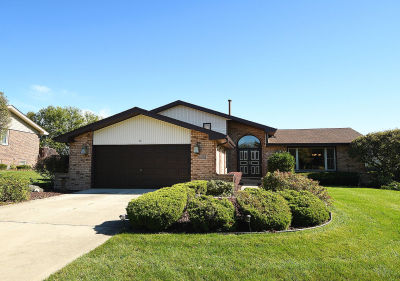 17169 Kropp Ct Orland Park, IL 60467