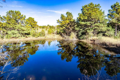 476 An County Rd #414 Palestine, TX 75803