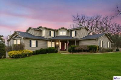 246 Saint Andrews Rd Brandenburg, KY 40108