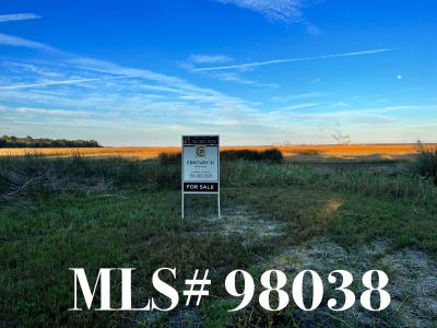 River Marsh Bend, Fernandina Beach, FL, USA