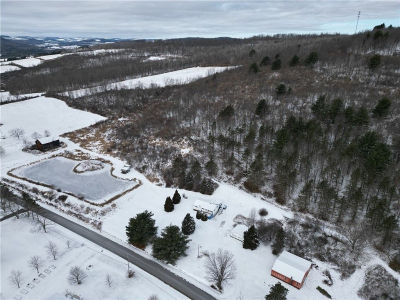 5565 Thomas Rd Woodhull, NY 14898