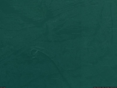 321 E 450 S #104 Willard, UT 84340