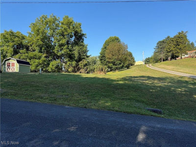 LOT 78/79 Mills Rd Saint Clairsville, OH 43950