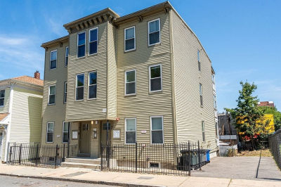 39 W Walnut Park Roxbury, MA 02119