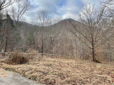 856 Seaton Ln, Seymour, TN, USA