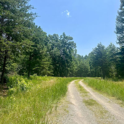 LOT 3 Kimberly Ct Bumpass, VA 23024