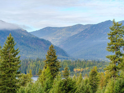 3 McKay Minor Rd Noxon, MT 59853