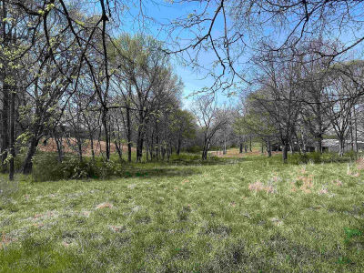 3.14 Acres Hwy #101 Rogersville, AL 35652