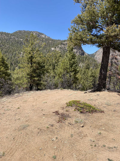 5448 Little Turkey Creek Rd, Colorado Springs, CO, USA