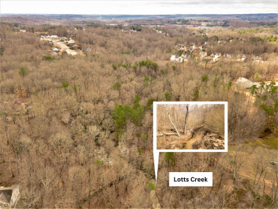 Elizabeth Ln, Flowery Branch, GA, USA