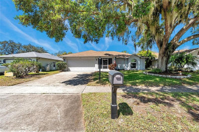 3957 Tarpon Pointe Cir Palm Harbor, FL 34684