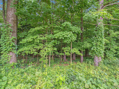 171 Thomas St Allegan, MI 49010