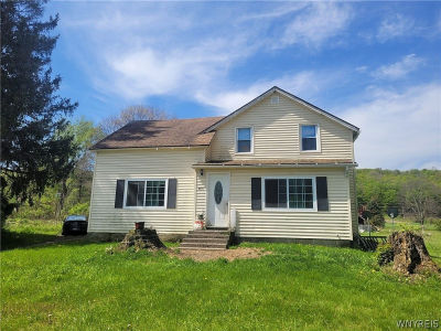 6829 Nys Rte #353 Cattaraugus, NY 14719