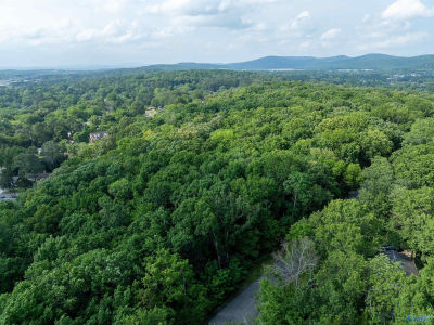 9534 Hemlock Dr Huntsville, AL 35803