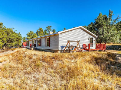 839 19th Trl Cotopaxi, CO 81223