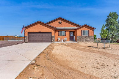 1319 N Dailey Dr Pueblo West, CO 81007