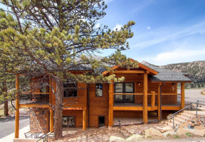 199 Twin Owls Ln #H2 Estes Park, CO 80517