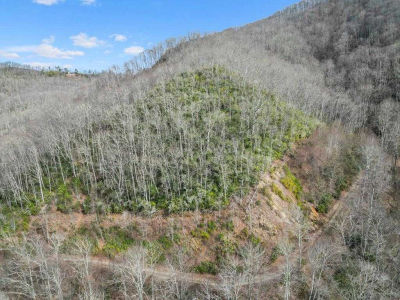 1824 Black Rock Road, Sylva, NC, USA